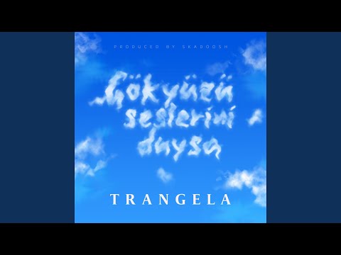 Gökyüzü Seslerini Duysa