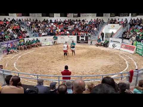 Liga Disa Gobierno de Canarias de Primera Categoría