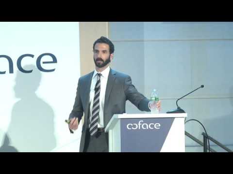 Country Risk Meeting 2016 - Stuart Bergman