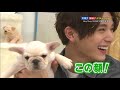 RYOSUKE YAMADA S CUTENESS IN ONE MINUTE