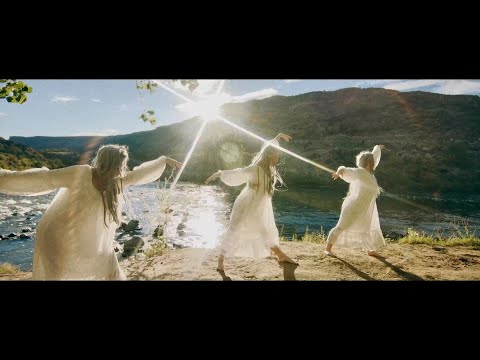 Dehd - Window (Official Video)