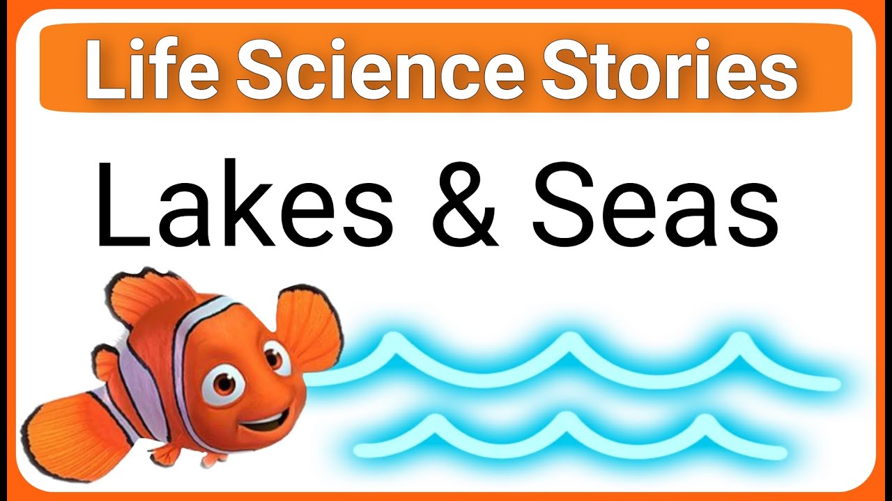 Life science stories | Lakes and Seas | improve your English skills