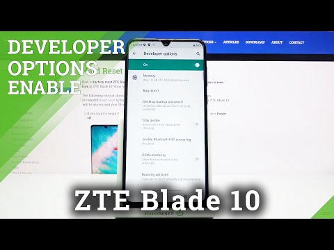 How to Enter Developer Mode on ZTE Blade 10 – Open Developer Mode