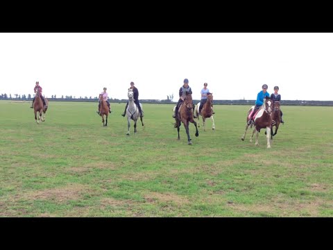YouTube video about: How much does horse camp cost?