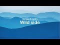 Wild Side - Normani ft Cardi B (Clean Lyrics)