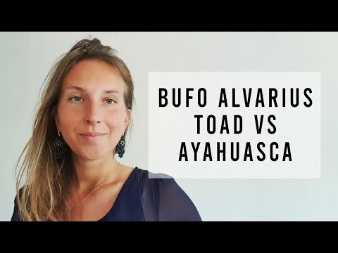 Bufo Alvarius Toad vs Ayahuasca