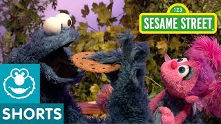Sesame Street: Cookie Monster Shares Cookies with Abby