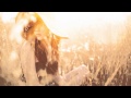 GRASSSKIRT - Poor Child 