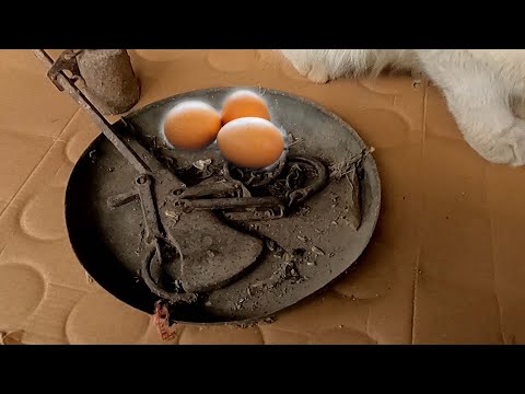 1945 Egg Scale Restoration - Antique Kitchen Tool