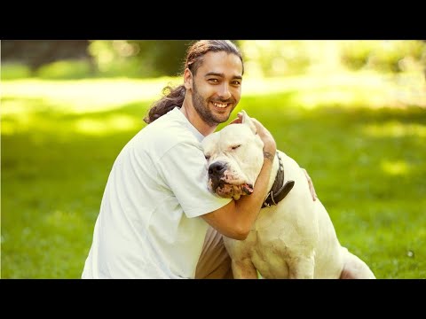 Animal Trainers Career Video