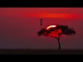 Da Capo - Penotone Drum