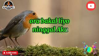 Download lagu isih kelingan ( karaoke ) intan mandasari @karaokemixsong #laguviral #karaoke #intanmandasari mp3