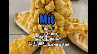 Download the video "Từ vựng trái cây (fruit) Phần 1"