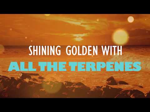 Acapulco Gold La Sinclair