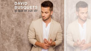 David Busquets - Princesa