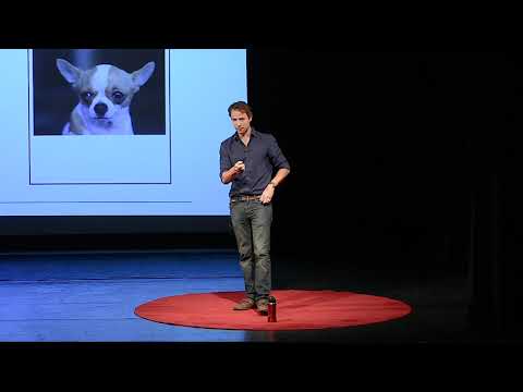 Dr. Horvath's TEDx talk, Your Brain, Your Life