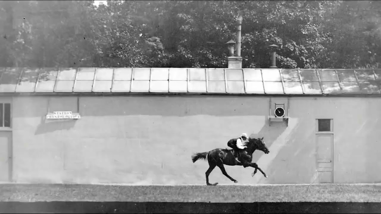 CHEVAL NOIR MONTE, GALOP 1899 Silent film Étienne Jules Marey
