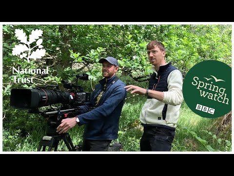 Ever wondered what goes on behind the scenes on Springwatch?