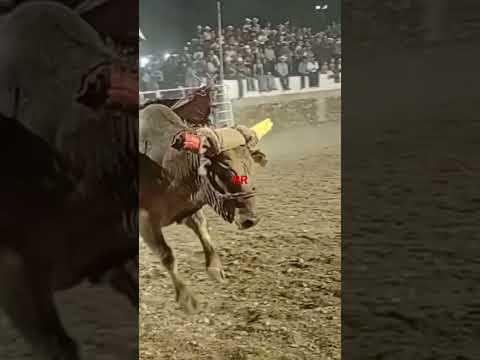 Israel Herrera vs faraon rancho el trébol tortugas de arriba santa María del rio SLP