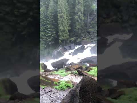 Worth it every time 😂