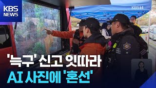 ‘동에 번쩍, 서에 번쩍’… 늑구는 홍길동? / KBS  2026.04.11.