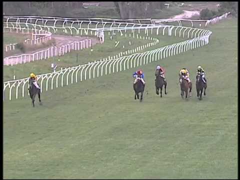 Galoppo 24/02/2015 - 2° corsa