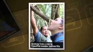 preview picture of video 'Leticia and jungle tours Sublime10la's photos around Leticia, Colombia (leticia pink dolphins)'