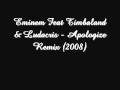 eminem feat timbaland & ludacris - apologize remix ...