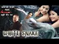 The Sorcerer And The White Snake Full Hd Movie Hindi Dubbed
