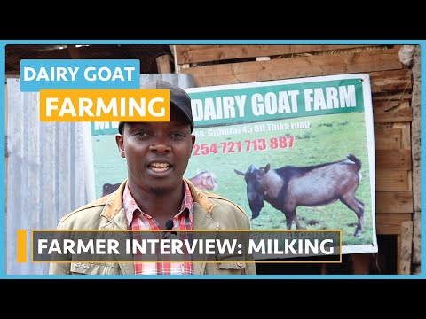 Dairy Goat Farming Lesson 1 Course Outline