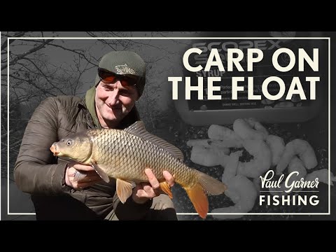 Karpefiskeri med flåd