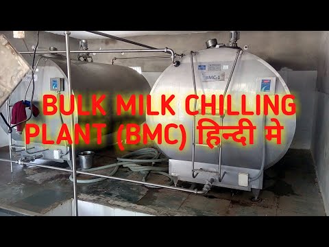 Bulk milk chilling plant