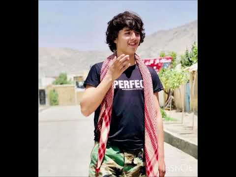 آهنگ جدید بسیار زیبا ( در باغ گل چیدنت ) صوفی شعیب همرای پهلوان 🍺🫣❤️