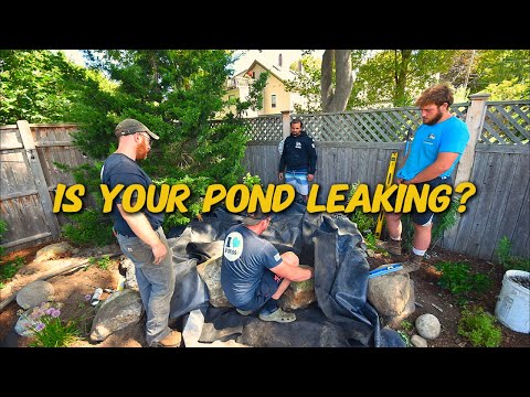 Our warranty is 1 year... but we tore out this pondless waterfall after 2!?