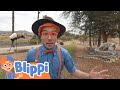 San Diego Zoo Part 1 Blippi Moonbug Kids Cartoons Toys
