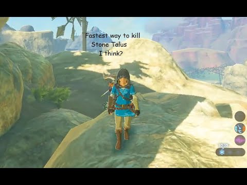 Fastest way to kill Stone Talus (I think?)