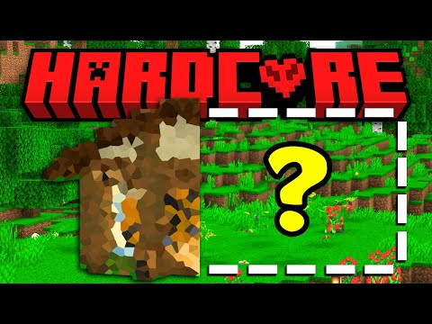 INIZIO A COSTRUIRE IL MIO NUOVO MAGAZZINO - BellaHard Ep. 41