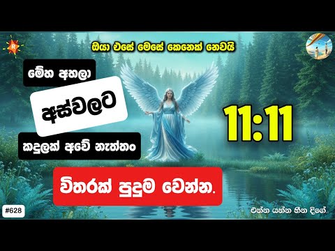 මේක ඇහුවොත් ඔයාට ඔයා ගැනම පුදුම හිතෙයි. මේ විශ්වය කරන්නේ ඔය ගැන හෙළිදරව්වක්. 11:11