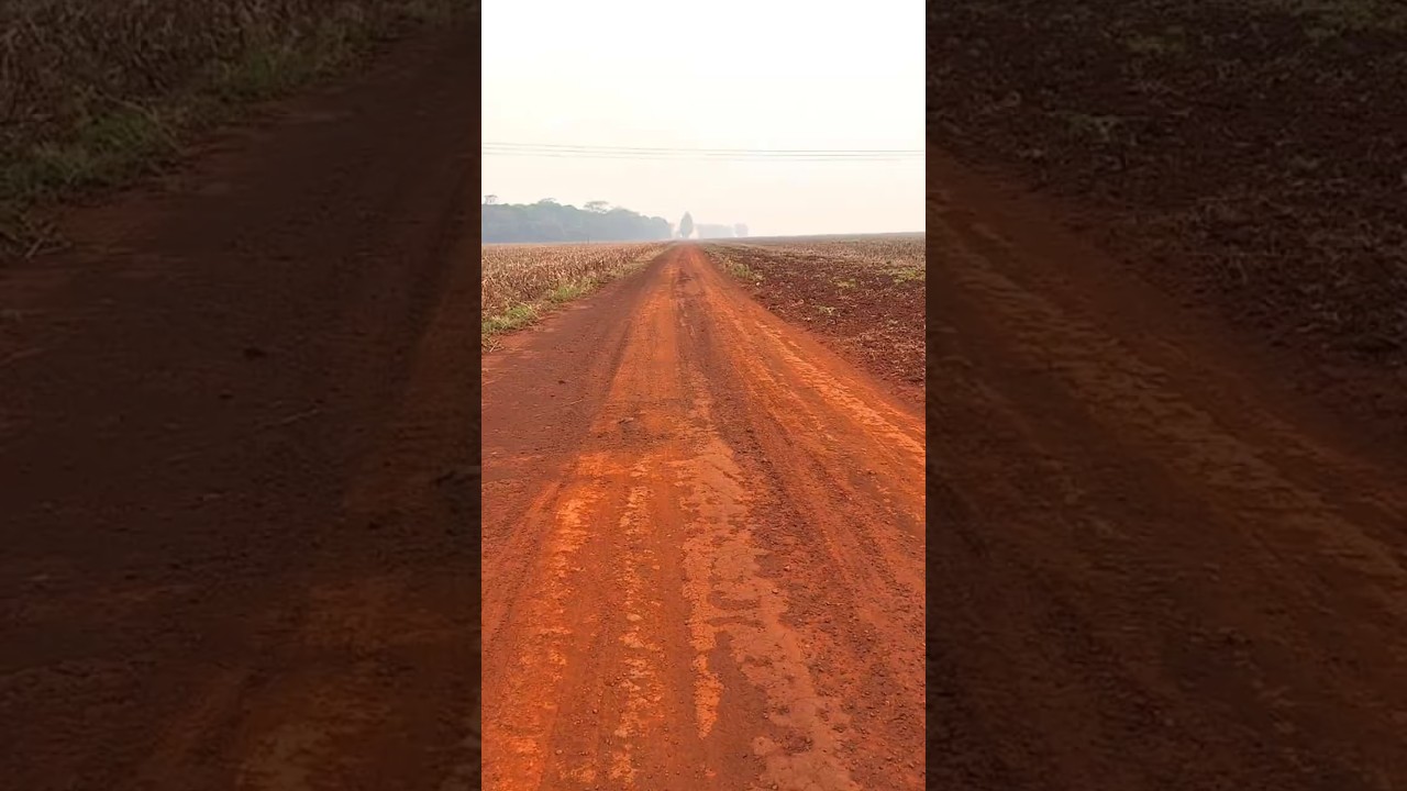 📍 FARM FOR SALE IN DOURADOS - MS | 213 ALQUEIRES #cattle #farm