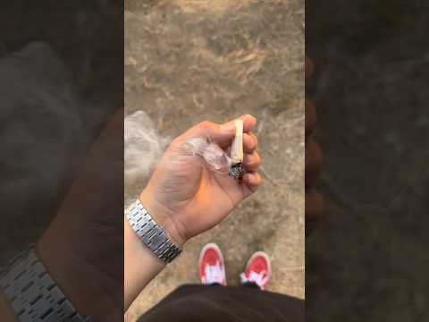 The perfect smoke spot ? #DopeAsYola #Malibu #420