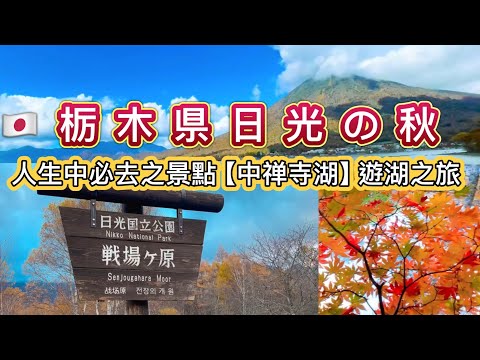 [¡La vida es perfecta! Itinerario imperdible #1: Las súper hermosas hojas de arce de Japón en el clima otoñal...D inicial...Nikko Iroha Mountain Road...Nikko Chuzenji Lake...Nikko...Yumoto Onsen...[Lugares que Definitivamente entraré en tu vida] Hojas de otoño súper hermosas... Pendiente Nikko Iroha... Lago Zenji