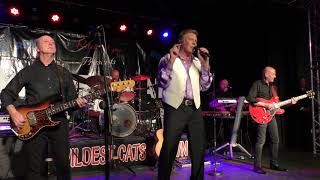 MARTY WILDE & THE WILDCATS Jezebel WILDEST CATS IN TOWN XMAS 2017 Pontins Pakefield