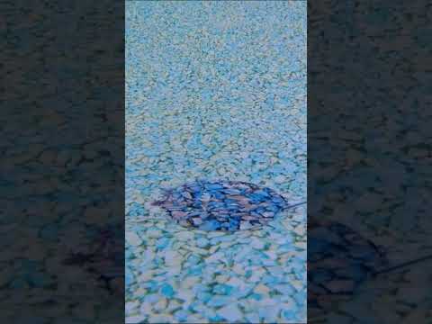 Double check on the repair and the pool leak is fixed