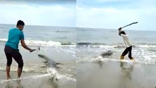 Viral Video Buaya Dipukul Kayu dan Palu seusai Tak Sengaja Terjerat Jaring Nelayan hingga Menggeliat