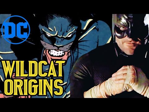 Wildcat Origin - This Rugged, Fierce Underrated Alpha Brawler Superhero Is Batman's Combat Trainer