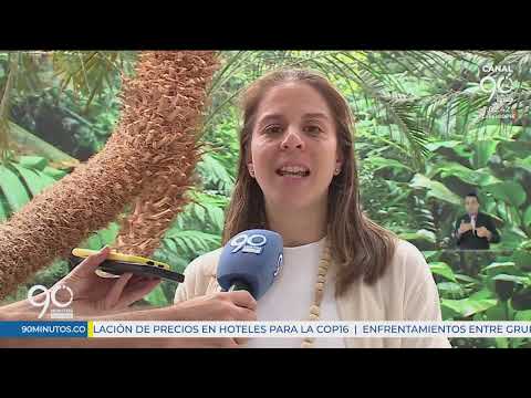 Foro – Taller Cali avanza, dialoga y construye, un espacio de análisis sobre el plan de desarrollo de Cali 2024 – 2027