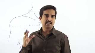 preview picture of video 'Anatomy of Pectoral region - part 1  Dr.G.Bhanu Prakash'