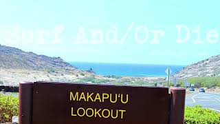 Walter Becker - Surf And Or Die Demo