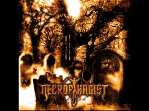 Diminished to B - Necrophagist