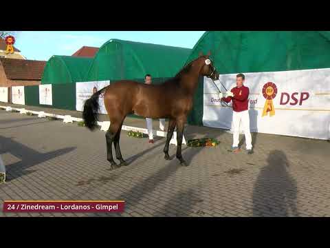 KN 24 v. Zinedream - Lordanos - Gimpel